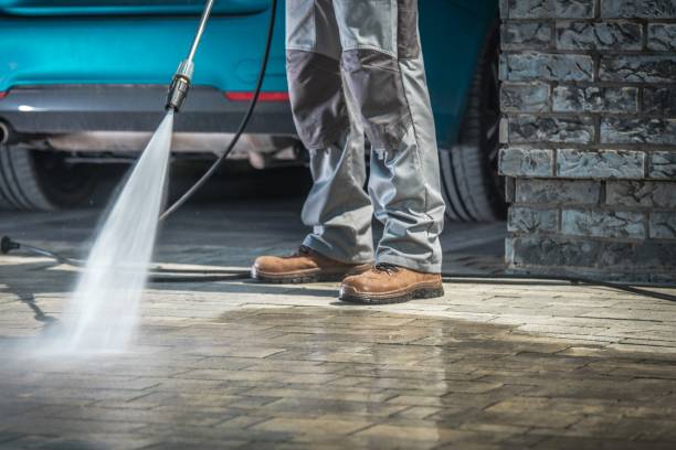 Animal Enclosure Cleaning in Plano, KY